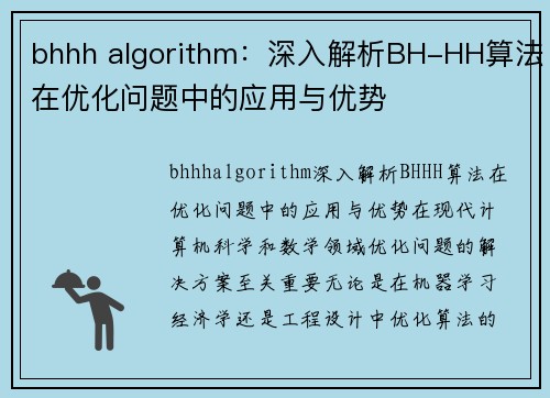 bhhh algorithm：深入解析BH-HH算法在优化问题中的应用与优势